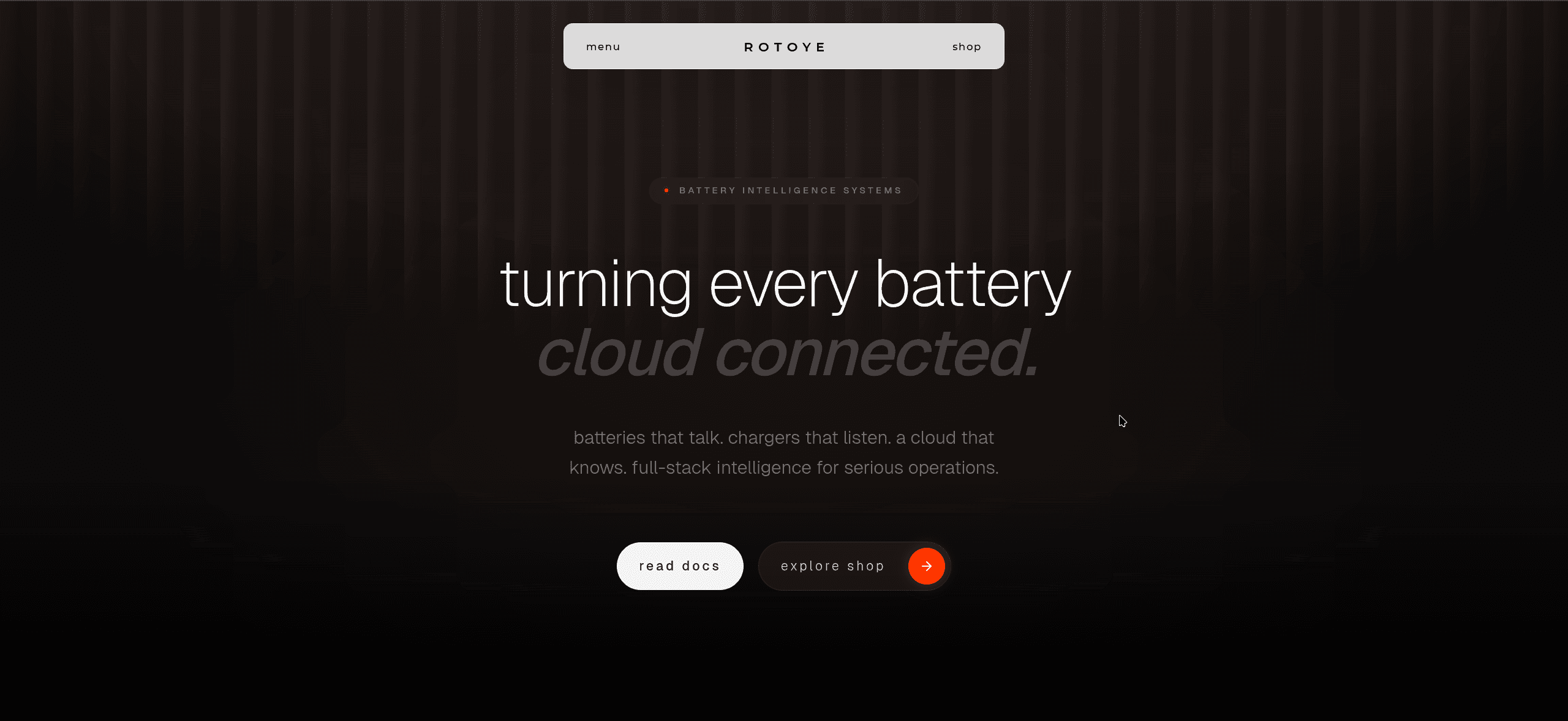 Rotoye Landing project screenshot